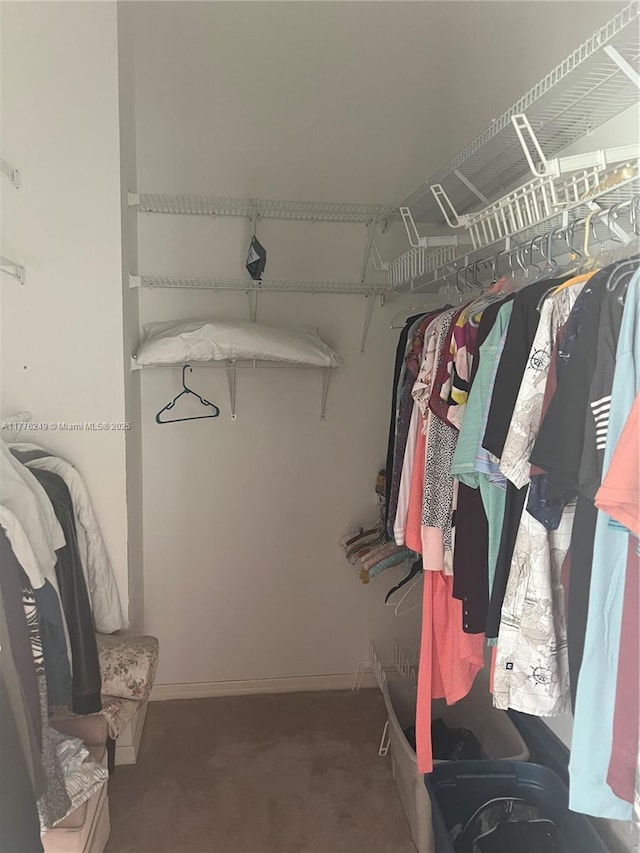 721 Spring Lake Dr, Melbourne, FL 32940 - spacious closet featuring carpet floors