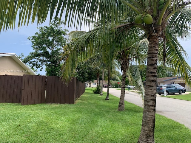 3190 NW 66th Dr, Fort Lauderdale, FL 33309 - view of yard