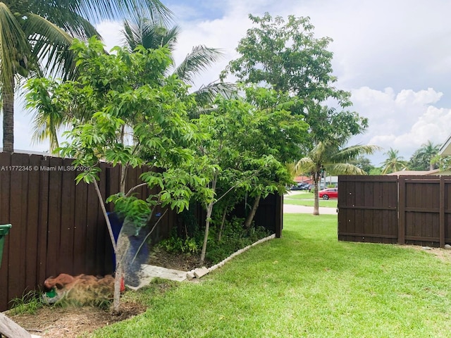 3190 NW 66th Dr, Fort Lauderdale, FL 33309 - view of yard