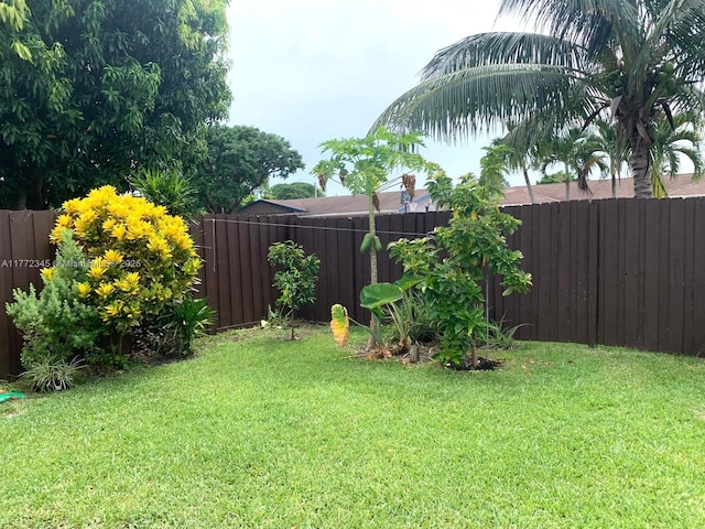 3190 NW 66th Dr, Fort Lauderdale, FL 33309 - view of yard