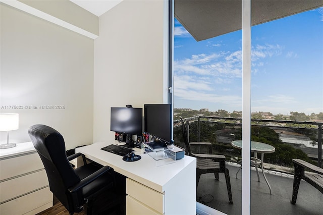 office featuring floor to ceiling windows