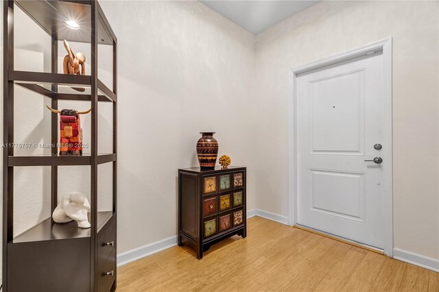 entrance foyer featuring baseboards and wood finished floors