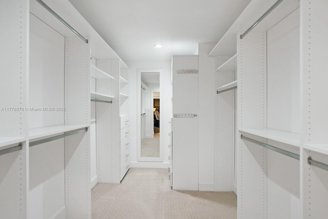 3543 S Ocean Blvd Unit 103, South Palm Beach, FL 33480 - walk in closet with light colored carpet