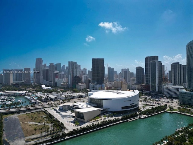 398 NE 5th St Unit 1408, Miami, FL 33132 - property's view of city with a water view