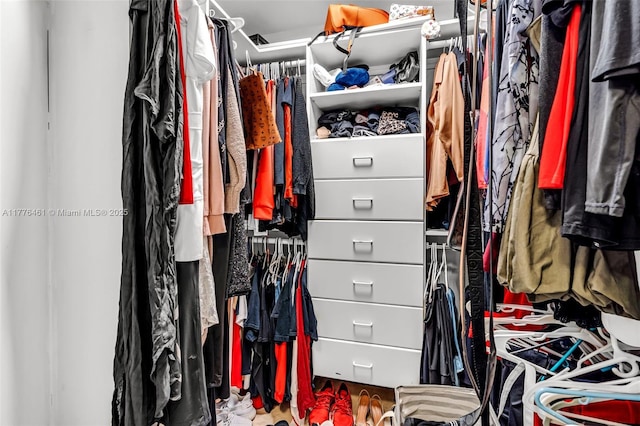 view of walk in closet
