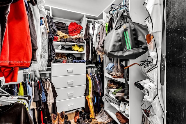 view of walk in closet