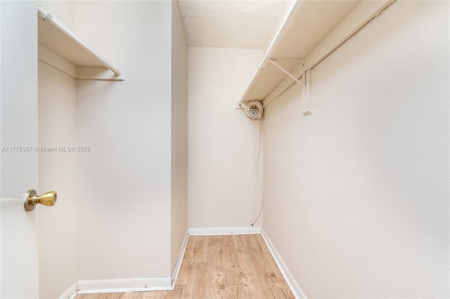 spacious closet with light wood finished floors