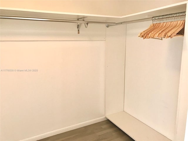 walk in closet featuring wood finished floors