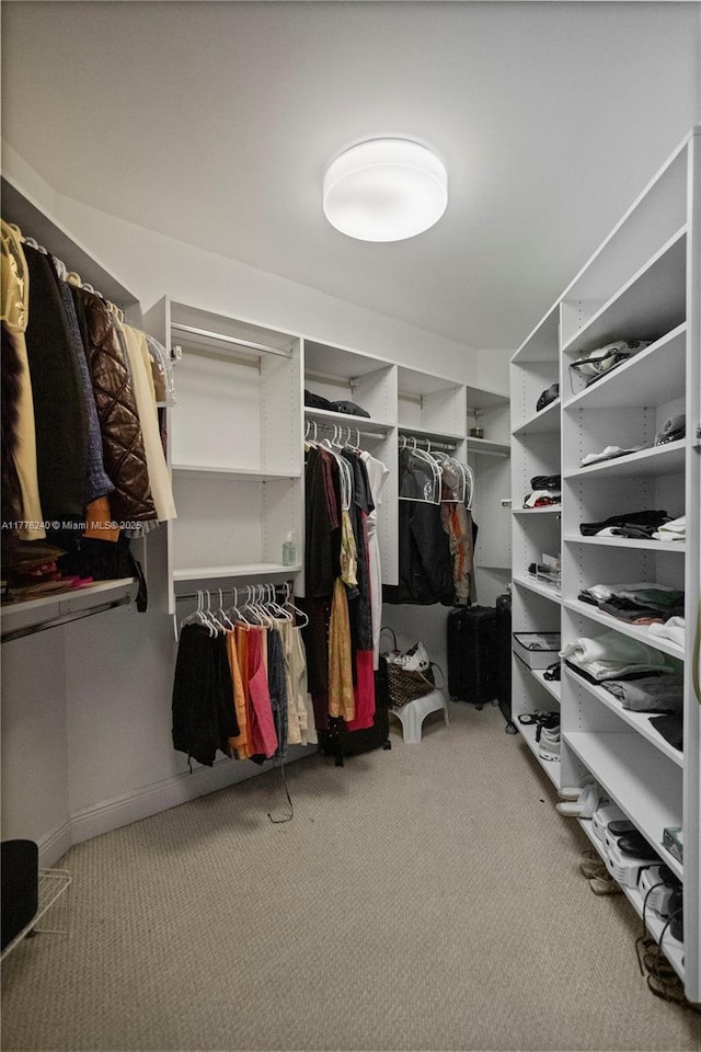 spacious closet featuring carpet