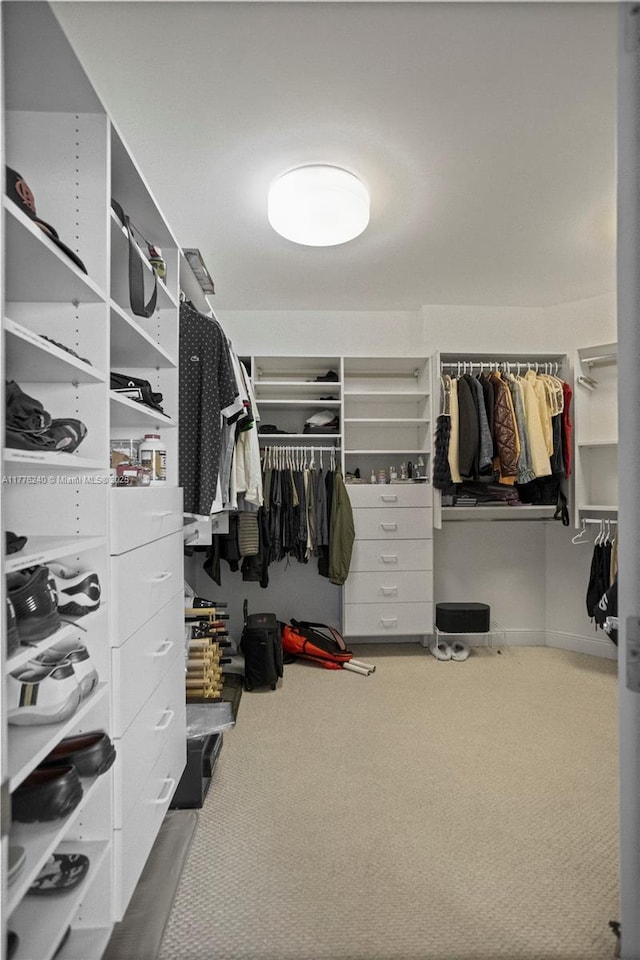 spacious closet featuring carpet