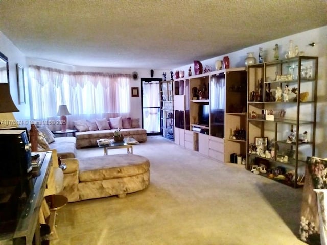 living area with a textured ceiling and carpet