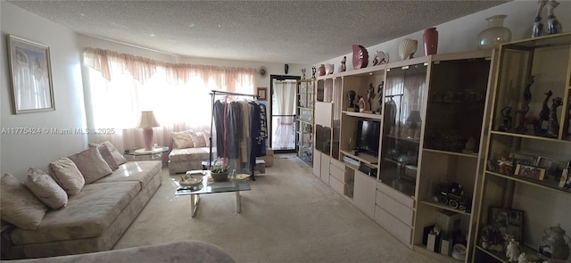 carpeted living room with a textured ceiling