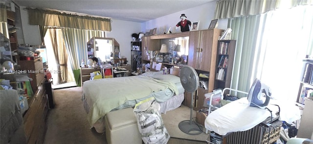 bedroom with carpet flooring