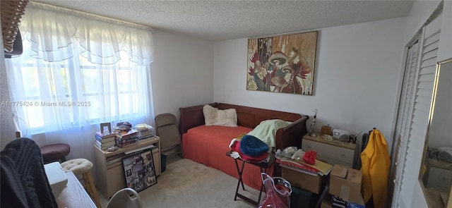 carpeted living area featuring a textured ceiling