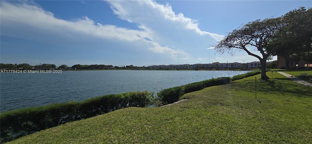 view of water feature