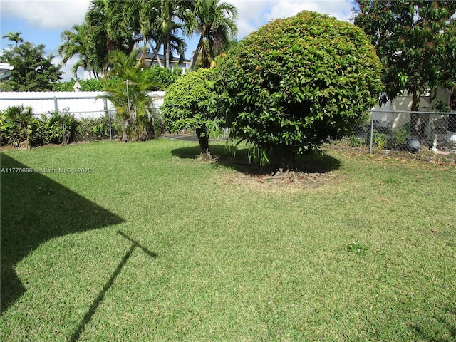 105 NW 32nd Pl, Miami, FL 33125 - view of yard