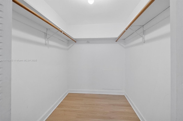 700 Biltmore Way Unit 402, Coral Gables, FL 33134 - walk in closet with light wood-type flooring