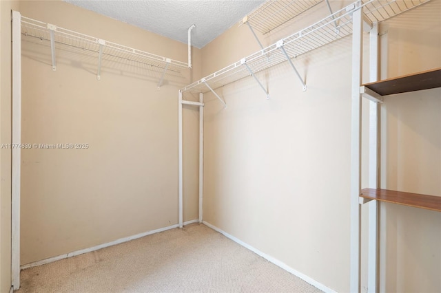 walk in closet featuring carpet