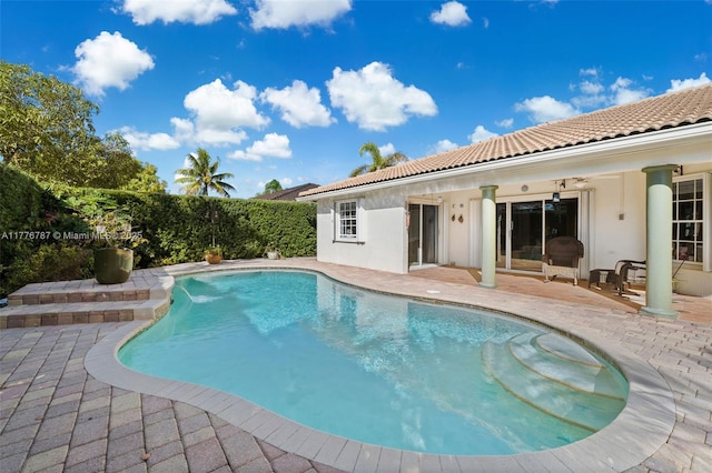 view of swimming pool featuring a fenced in pool, ceiling fan, and a patio area