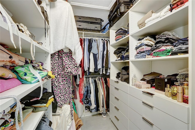 view of spacious closet