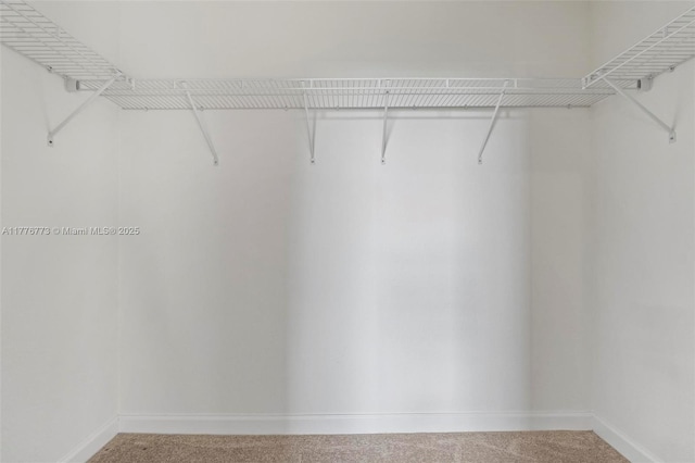 10861 W 32nd Ln Unit 10861, Hialeah, FL 33018 - walk in closet with carpet flooring