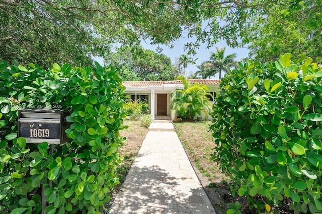 10619 NE 10th Pl, Miami Shores, FL 33138 - view of exterior entry with a tiled roof