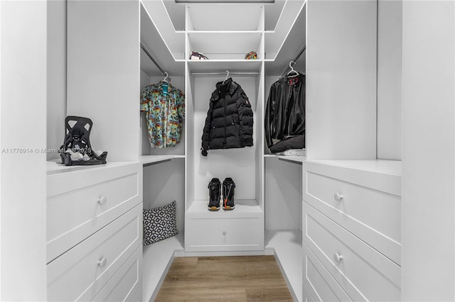 872 NE 79, Boca Raton, FL 33487 - spacious closet with light wood-type flooring