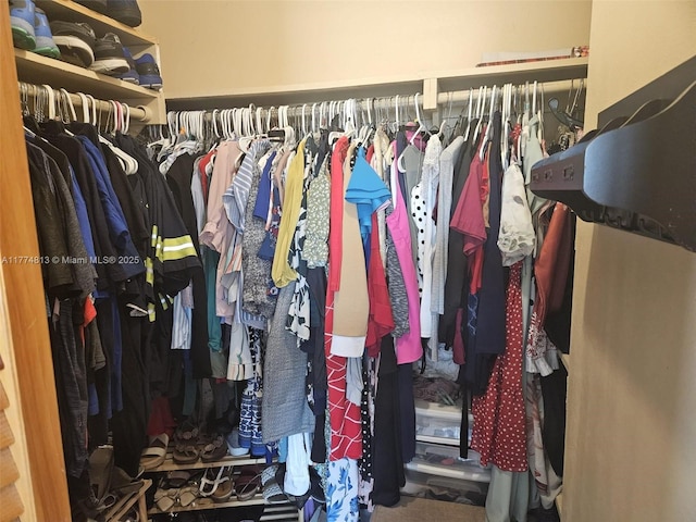 view of spacious closet