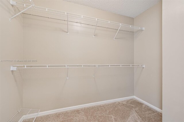 9145 Picot Ct, Boynton Beach, FL 33472 - spacious closet featuring carpet