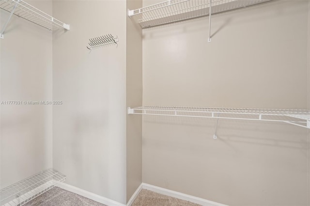 9145 Picot Ct, Boynton Beach, FL 33472 - walk in closet with carpet