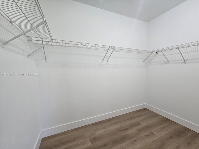 walk in closet with wood finished floors