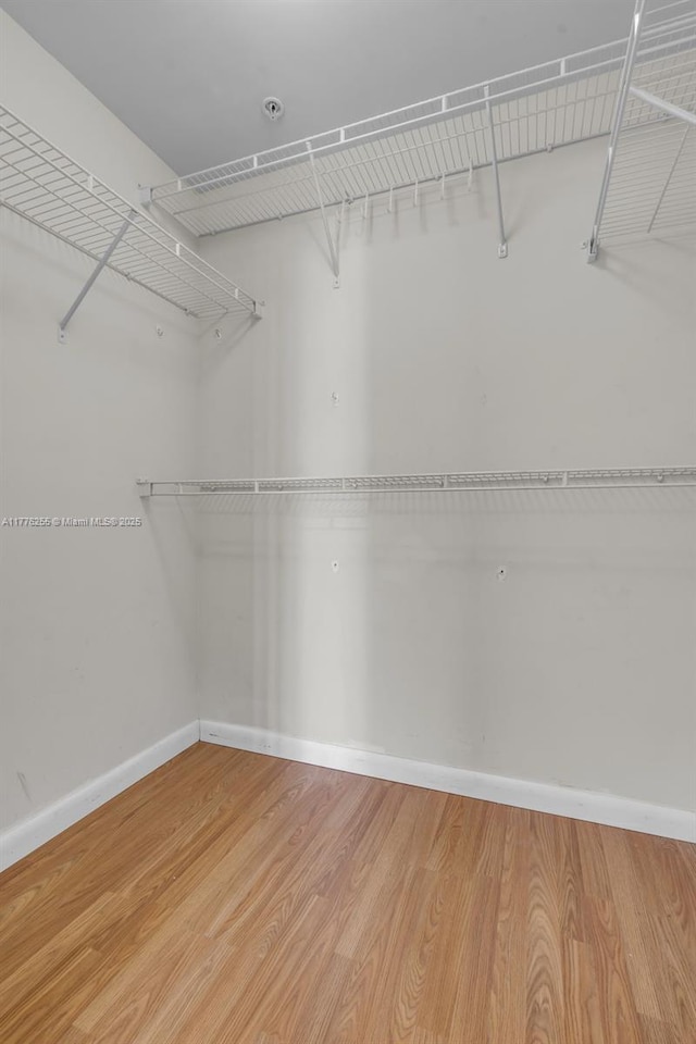 walk in closet featuring light wood-type flooring