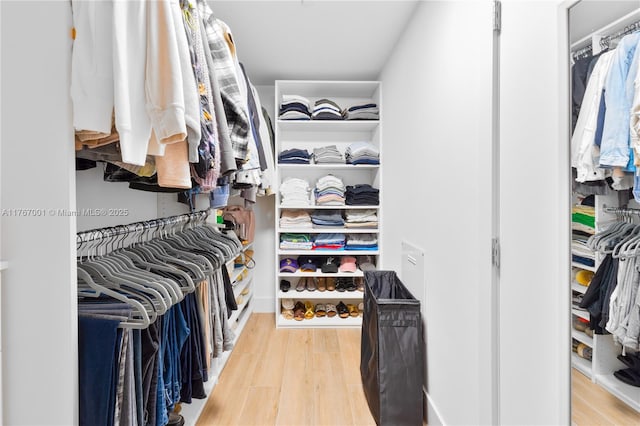 spacious closet featuring light wood finished floors