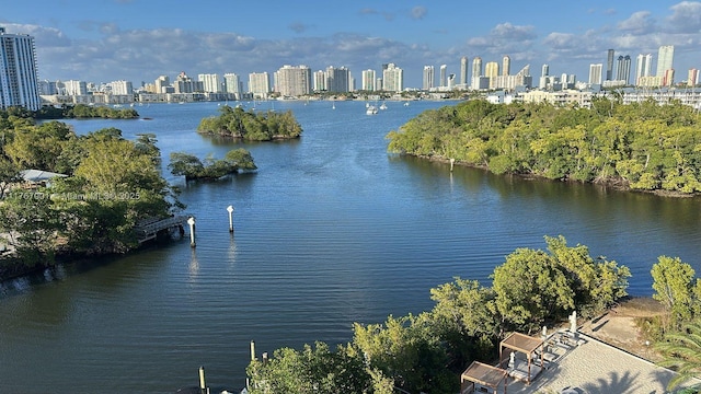 16385 Biscayne Blvd Unit 707, North Miami Beach, FL 33160 - water view with city skyline