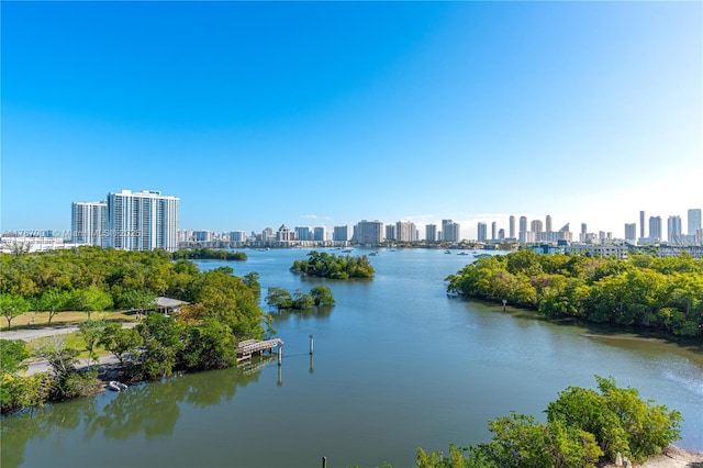 water view featuring a view of city