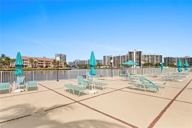 water view featuring a boat dock