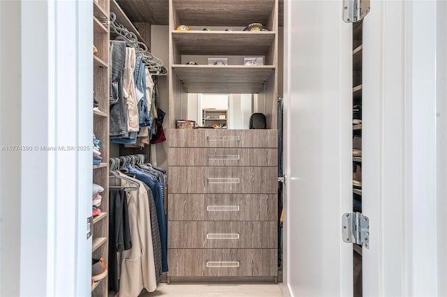 view of spacious closet