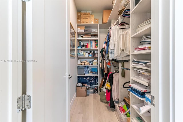 walk in closet with wood finished floors