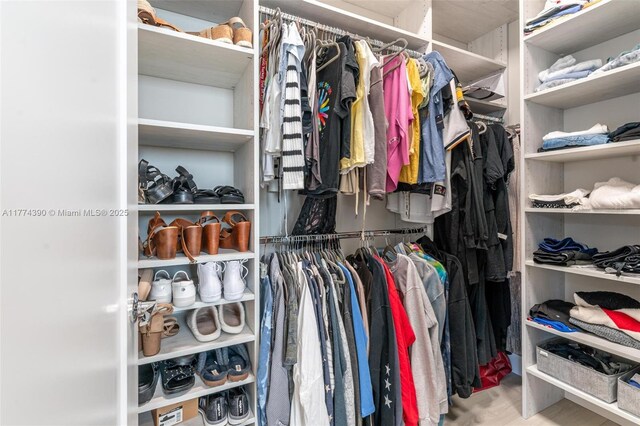 view of walk in closet