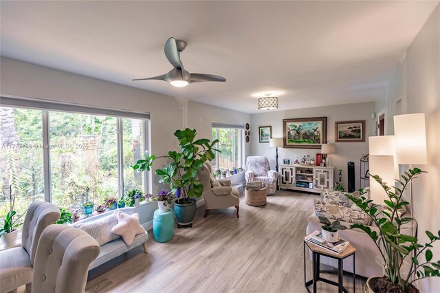 6250 SW 19th St, Miami, FL 33155 - living area with light wood finished floors and a ceiling fan