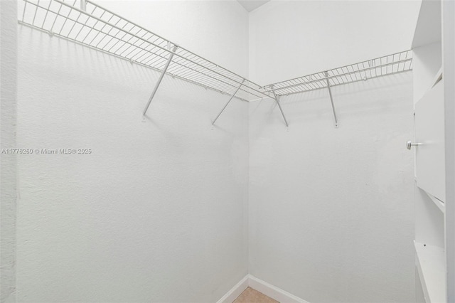 view of walk in closet