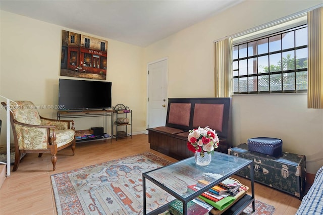 living room with wood finished floors