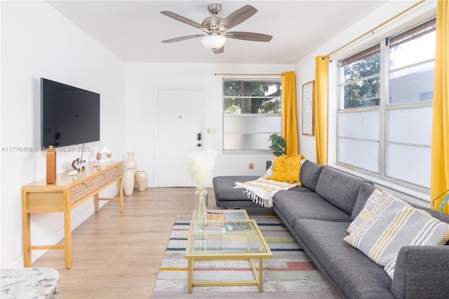living area with ceiling fan and wood finished floors