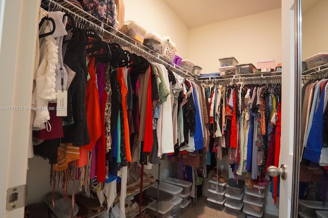 view of walk in closet