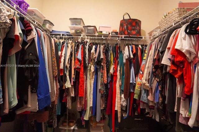 view of walk in closet