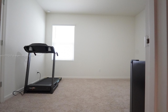 exercise area featuring baseboards and carpet