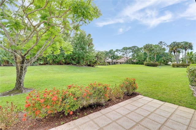 3774 SW Pheasant Run, Palm City, FL 34990 - photo 43