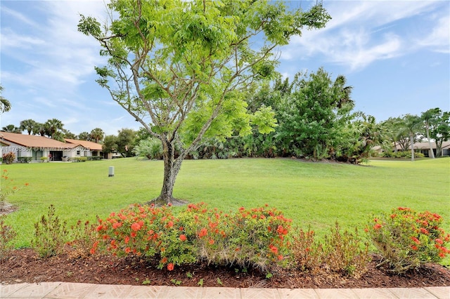 3774 SW Pheasant Run, Palm City, FL 34990 - view of green lawn