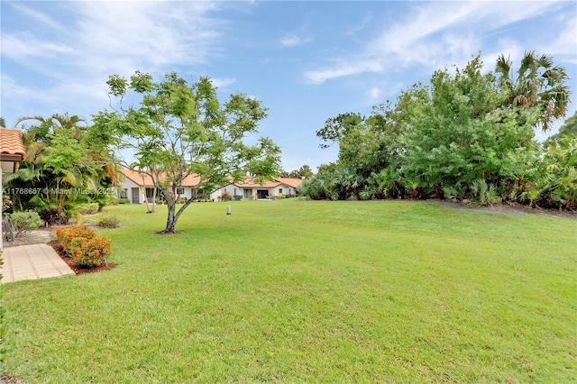 3774 SW Pheasant Run, Palm City, FL 34990 - view of grassy yard
