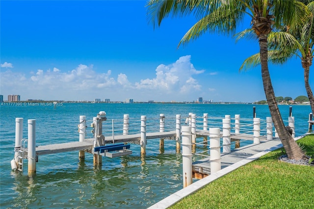 7960 Biscayne Point Cir, Miami Beach, FL 33141 - photo 63